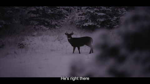 Whitetail Deer in Anticosti Island (Part 2) episode thumbnail