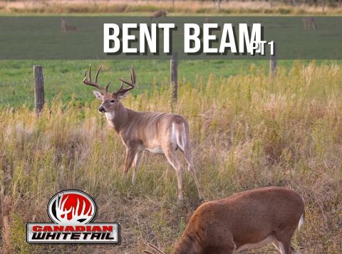 Bent Beam Part 1 episode thumbnail