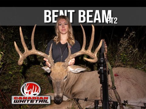 Bent Beam Part 2 episode thumbnail
