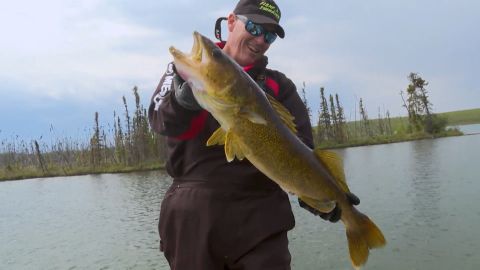 Slow Drop Walleye episode thumbnail