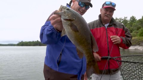 New Lake Tactics episode thumbnail
