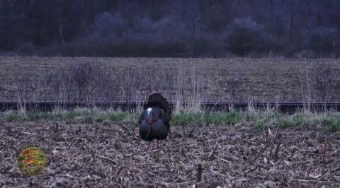 JR Wetlands Sweepstakes episode thumbnail