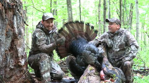 Soggy Bottom Longbeards episode thumbnail