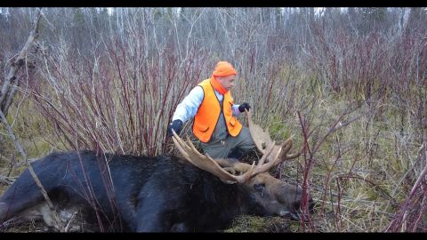 A True Northern Ontario Moose Hunt episode thumbnail