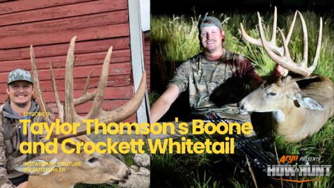 Taylor Thomson's Boone and Crockett Giant Archery whitetail episode thumbnail