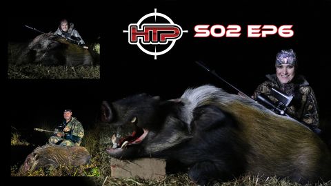 Hunting Bushpig Tips and Tricks to Help You episode thumbnail