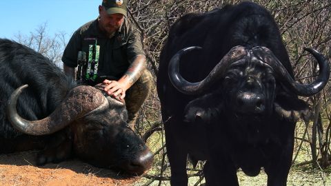 Bow Hunting Cape Buffalo & Plains game at Monterra Safaris episode thumbnail