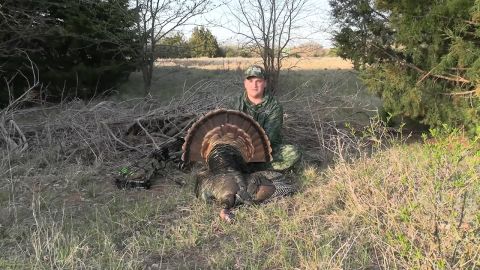 Heading to Mexico to Hunt the Ornate Ocellated Turkey episode thumbnail