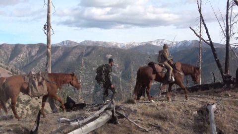 Big Bull Down! Backcountry Elk Hunt episode thumbnail