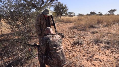 Kalahari Gemsbok episode thumbnail