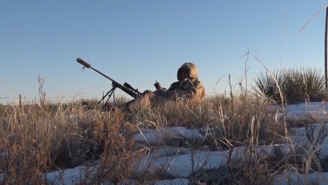 Coyote Playing Peek a Boo episode thumbnail