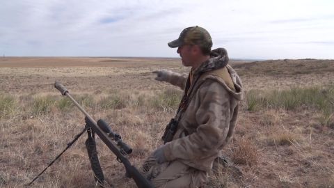 Mule Deer and Coyotes episode thumbnail