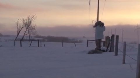 Thousands of Coyotes Have Responded to Les’ Calling episode thumbnail
