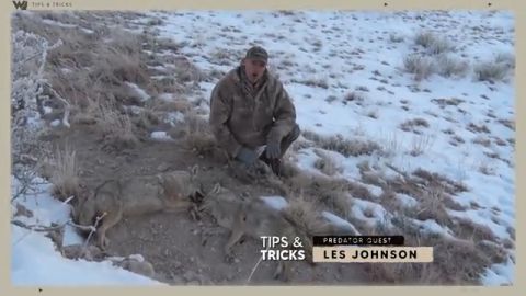 How to Avoid Detection From Coyotes episode thumbnail