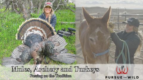Mules, Archery, and Turkey: Passing on the Tradition episode thumbnail