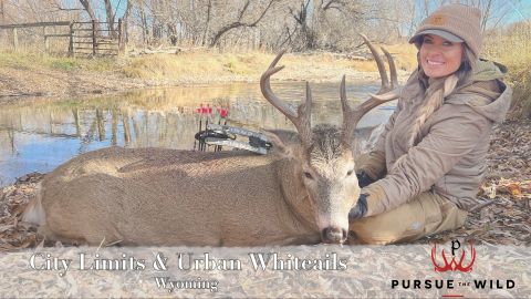 City Limits and Urban Whitetails episode thumbnail