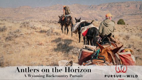 Antlers on the Horizon- A Wyoming Backcountry Pursuit episode thumbnail