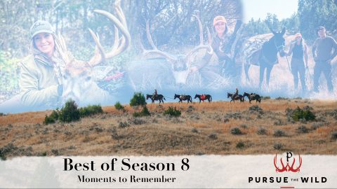Moments to Remember episode thumbnail