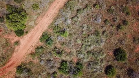 Africa episode thumbnail