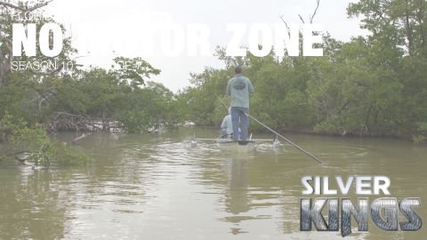 No Motor Zone episode thumbnail