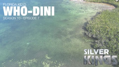 Who Dini episode thumbnail