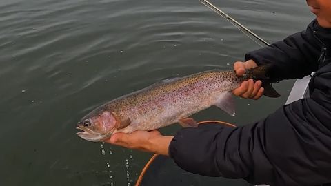 Fall Patterns on Stoney Lake - Part Two episode thumbnail