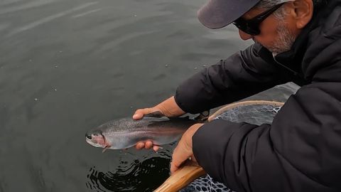 Stoney Lake Chironomids episode thumbnail