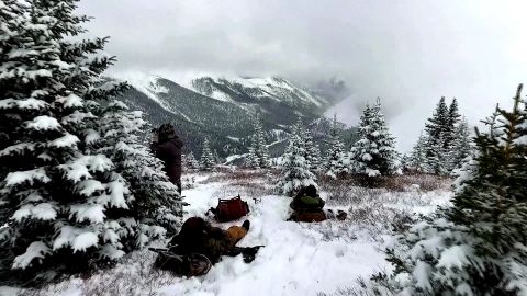 The Black Bear in Print episode thumbnail
