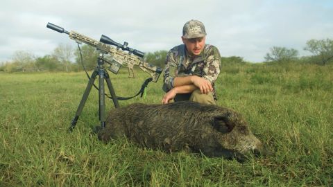 Hog Headshots and Bagging Bucks episode thumbnail