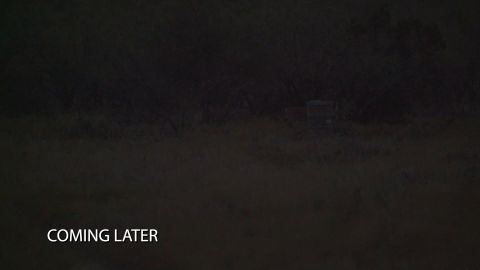 Down To The Wire episode thumbnail