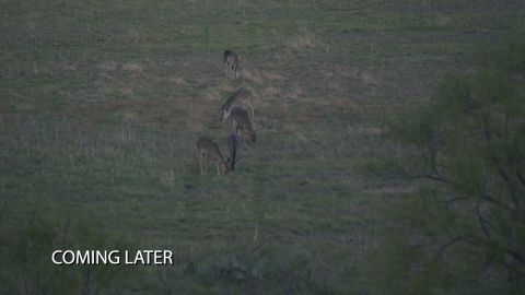 A Hill Country November - Part 2 episode thumbnail