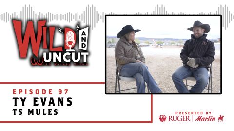 Ty Evans - TS Mules episode thumbnail