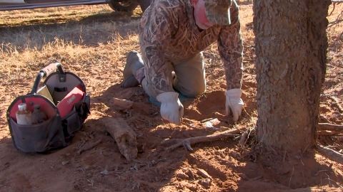 Dan Roberts Texas Cats episode thumbnail