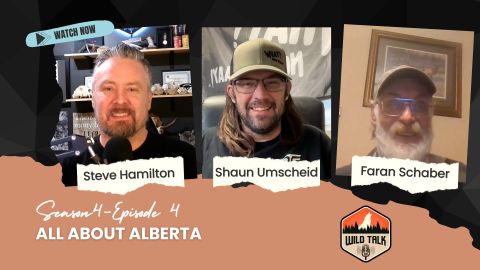 All About Alberta episode thumbnail