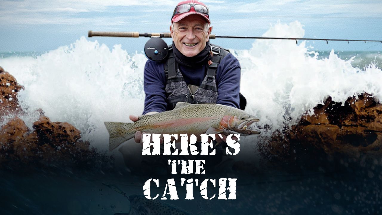Here's the Catch