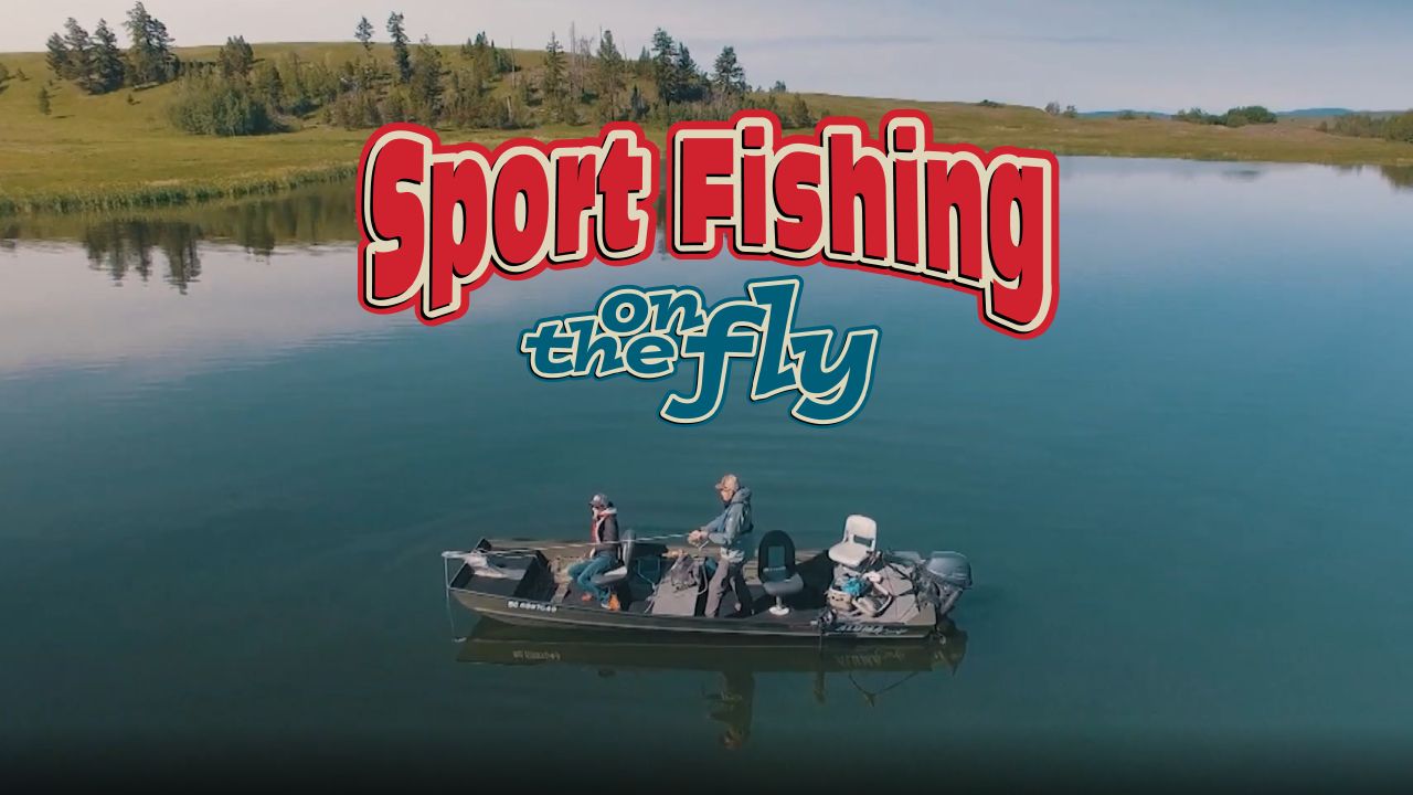 Sport Fishing on the Fly
