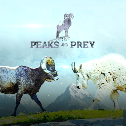 Peaks & Prey Marathon program thumbnail