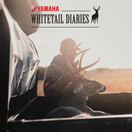 Yamaha Whitetail Diaries program thumbnail