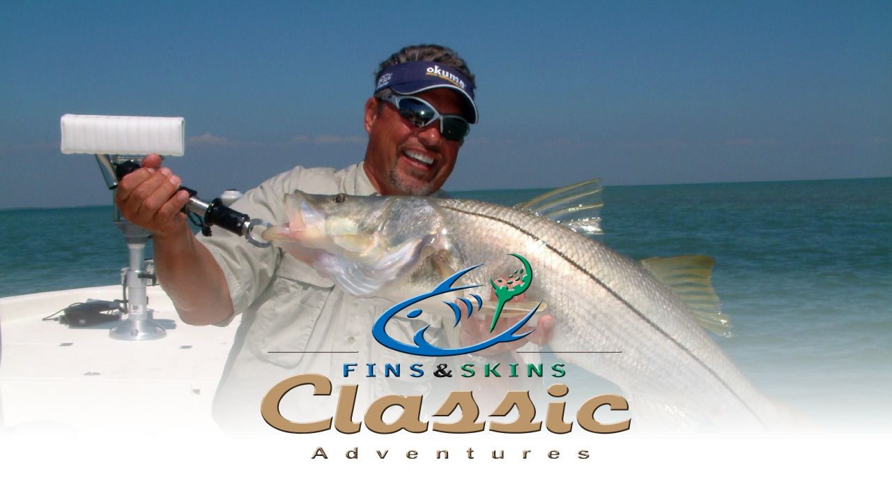 Fins & Skins