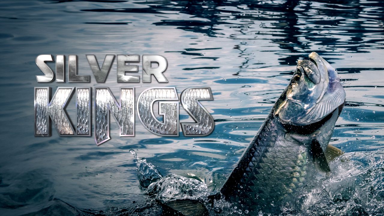 Silver Kings