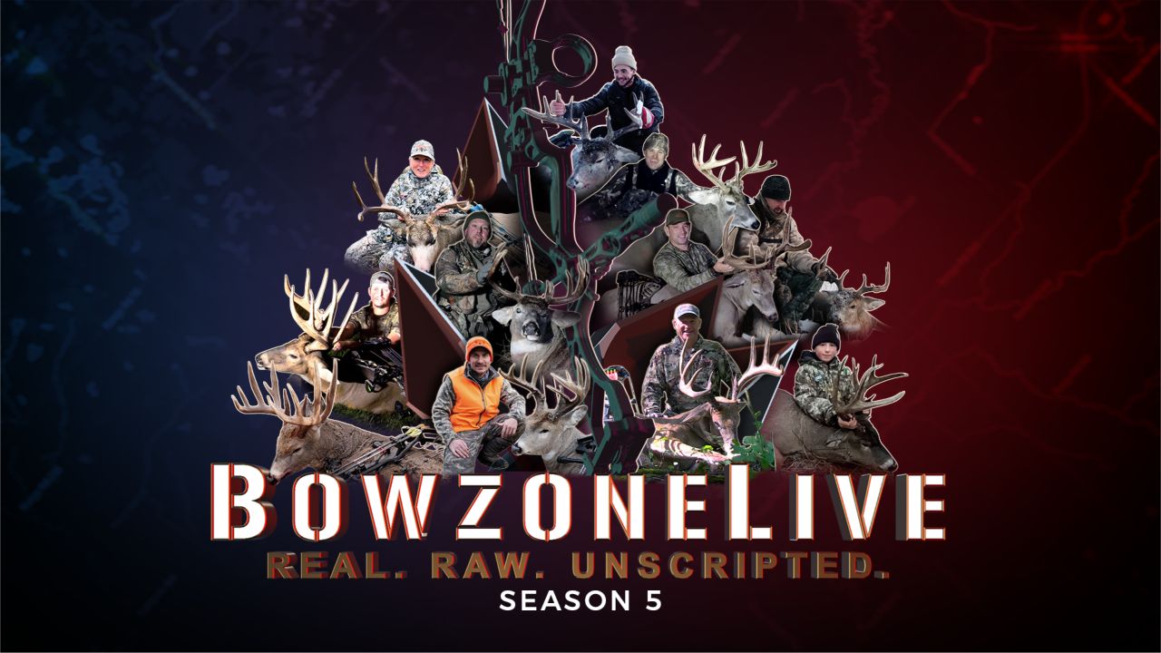 Bowzone Live